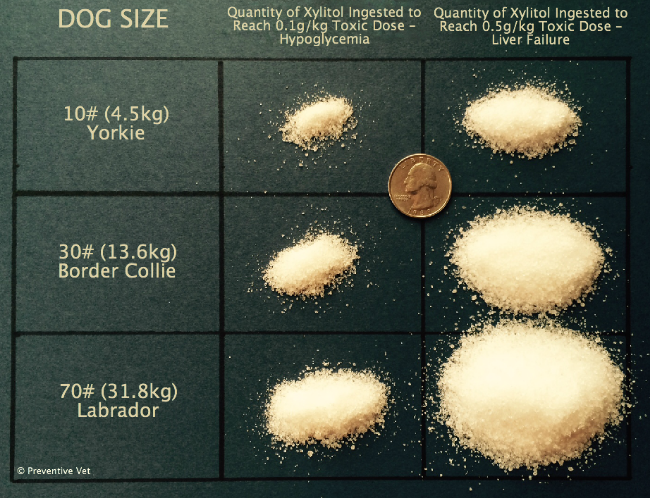 PV-Xylitol-Toxic-Dose-Dog-Sizes-Chart